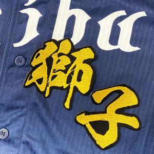 ☆送料無料☆埼玉 西武 ライオンズ 桑原将志 シルエット & ネーム 応援