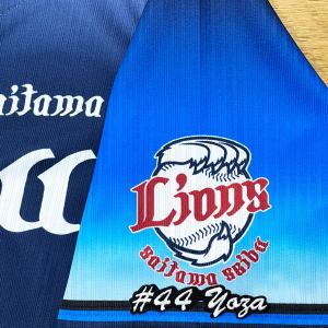 ☆送料無料☆東京 ヤクルト スワローズ つば九郎 短冊 刺繍 ワッペン