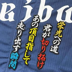 ☆送料無料☆埼玉 西武 ライオンズ 小島大河 ネーム 黒 応援 刺繍