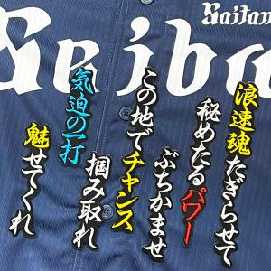 ☆送料無料☆埼玉 西武 ライオンズ 西川愛也 毛筆 名前 応援 刺繍