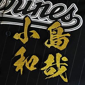☆送料無料☆千葉 ロッテ マリーンズ LOTTE ネーム 袖 応援 刺繍