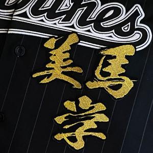 ☆送料無料☆東京 ヤクルト スワローズ 内山壮真 応援歌 白 刺繍