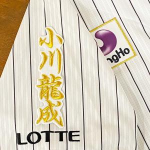 ☆送料無料☆千葉 ロッテ マリーンズ LOTTE ネーム 袖 応援 刺繍
