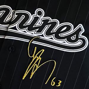 ☆送料無料☆千葉 ロッテ マリーンズ 角中勝也 シルエット 2 白 応援