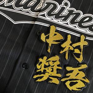 ☆送料無料☆千葉 ロッテ マリーンズ キラキラ 黒 白布 応援 刺繍