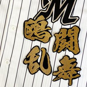 ☆送料無料☆横浜 DeNA ベイスターズ 度会隆輝 ネーム 4 応援 刺繍