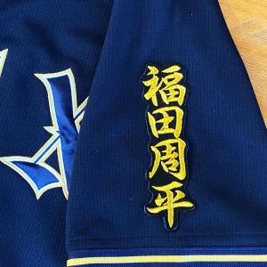 ☆送料無料☆東京 読売 ジャイアンツ 巨人 長野久義 背番号 & 毛筆