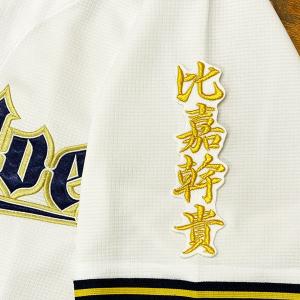 ☆送料無料☆横浜 DeNA ベイスターズ 藤浪晋太郎 サイン 黒 応援 刺繍