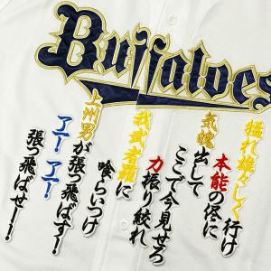 ☆送料無料☆オリックス バファローズ 曽谷龍平 勘亭流 名前 応援 刺繍
