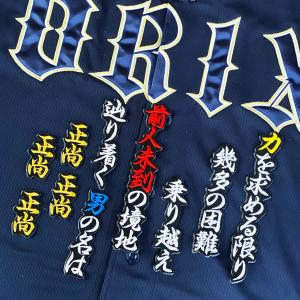 ☆送料無料☆オリックス バファローズ 渡部遼人 ネーム 4 応援 刺繍