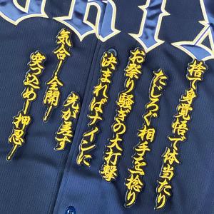 ☆送料無料☆東京 ヤクルト スワローズ 内山壮真 シルエット & サイン
