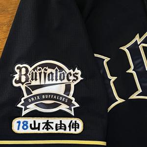 ☆送料無料☆オリックス バファローズ 麦谷祐介 ネーム 白 応援 刺繍