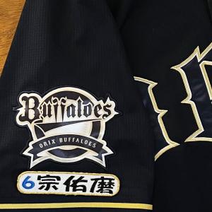 ☆送料無料☆埼玉 西武 ライオンズ 桑原将志 ネーム 袖 応援 刺繍