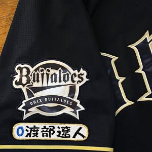 ☆送料無料☆東京 ヤクルト スワローズ つば九郎 ネーム 2 黒布 刺繍