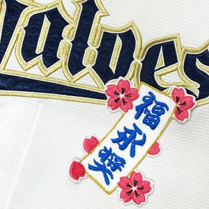 ☆送料無料☆北海道 日本ハム ファイターズ 日ハム 山縣秀 短冊 刺繍
