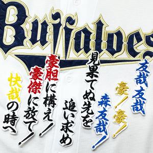 ☆送料無料☆横浜 DeNA ベイスターズ 三森大貴 応援歌 青 応援 刺繍