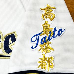 ☆送料無料☆埼玉 西武 ライオンズ 渡部聖弥 シルエット & ネーム 応援