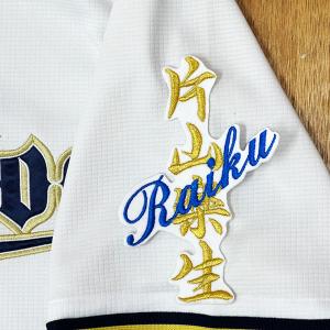 ☆送料無料☆中日 ドラゴンズ 田中幹也 サイン 黒 応援 刺繍 ワッペン
