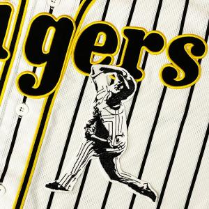 ☆送料無料☆阪神 タイガース 藤川球児 シルエット＆ネーム 応援 刺繍