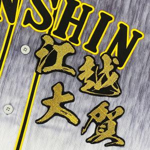 ☆送料無料☆東京 読売 ジャイアンツ 巨人 甲斐拓也 背番号 & 勘亭流
