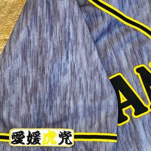 本日限定出品 阪神タイガース刺繍ワッペンユニフォーム ☆送料無料☆阪神 タイガース 埼玉虎党 白布 刺繍 ワッペン
