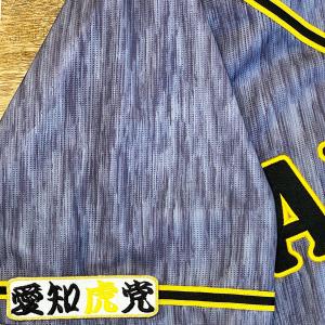 ☆送料無料☆阪神 タイガース 立石正広 背番号 & 毛筆 刺繍 ワッペン