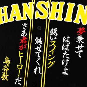 ☆送料無料☆阪神 タイガース 立石正広 ネーム 2 白 刺繍 ワッペン