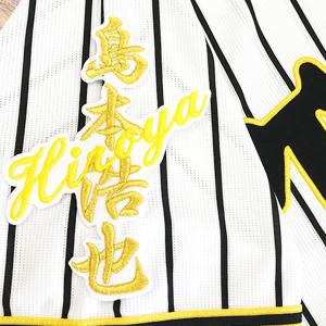 ☆送料無料☆中日 ドラゴンズ 涌井秀章 背番号 & 勘亭流 ビジター 応援