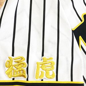 ☆送料無料☆中日 ドラゴンズ 中島宏之 背番号 & 勘亭流 ビジター 応援