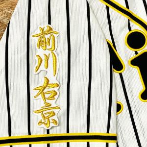 ☆送料無料☆阪神 タイガース 才木浩人 シルエット 2 & サイン 刺繍