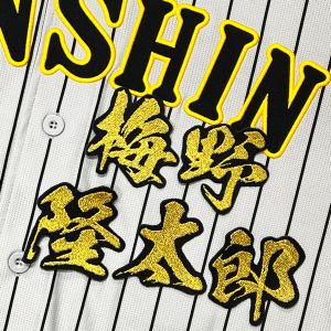 ☆送料無料☆東京 読売 ジャイアンツ 巨人 中田翔 背番号 & 勘亭流