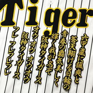★送料無料★阪神 タイガース 六甲おろし 1 ...の詳細画像1