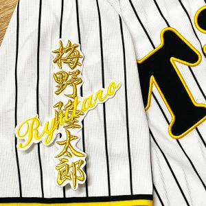 ☆送料無料☆阪神 タイガース 森下翔太 シルエット 2 & サイン 応援