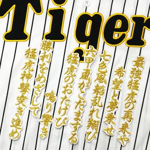 ☆送料無料☆阪神 タイガース 才木浩人 背番号 & 毛筆 名前 刺繍