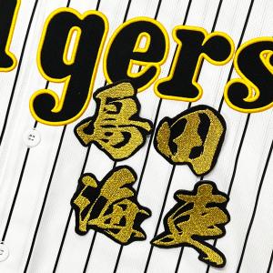 ☆送料無料☆東京 読売 ジャイアンツ 巨人 竹丸和幸 シルエット