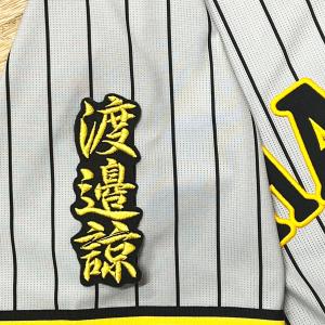 ☆送料無料☆埼玉 西武 ライオンズ 西川愛也 シルエット 2 & サイン