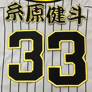 ☆送料無料☆阪神 タイガース 熊谷敬宥 毛筆 名前 刺繍 ワッペン