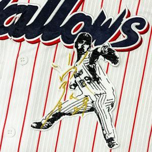 ☆送料無料☆東京 ヤクルト スワローズ 茂木栄五郎 ネーム 袖 刺繍