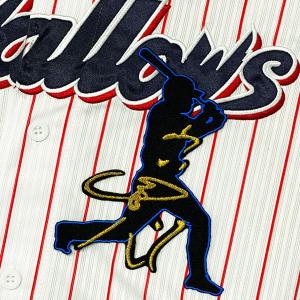 ☆送料無料☆東京 ヤクルト スワローズ オスナ ネーム 3 刺繍 ワッペン