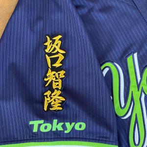 ☆送料無料☆東京 ヤクルト スワローズ つば九郎 ネーム 2 黒布 刺繍