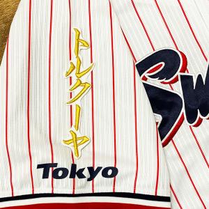 ☆送料無料☆東京 ヤクルト スワローズ つば九郎 シルエット 2 刺繍