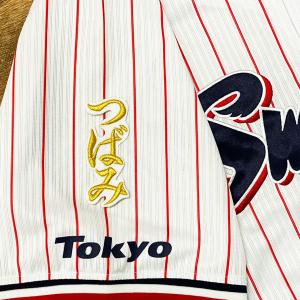 ☆送料無料☆東京 ヤクルト スワローズ つば九郎 ネーム 2 黒布 刺繍