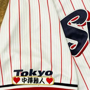 ☆送料無料☆東京 ヤクルト スワローズ つば九郎 シルエット 2 刺繍