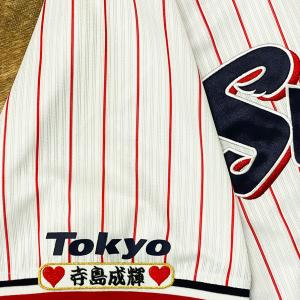 ☆送料無料☆東京 ヤクルト スワローズ つば九郎 シルエット 2 刺繍