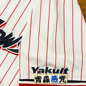 ☆送料無料☆阪神 タイガース 高寺望夢 応援歌 黒 刺繍 ワッペン 応援