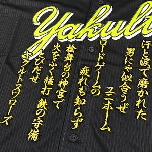 ☆送料無料☆東京 ヤクルト スワローズ つば九郎 短冊 刺繍 ワッペン