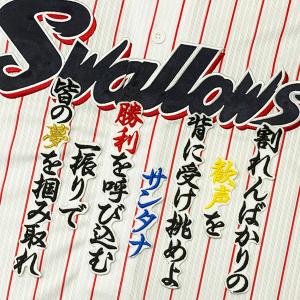 ☆送料無料☆東京 読売 ジャイアンツ 巨人 甲斐拓也 背番号 & 勘亭流