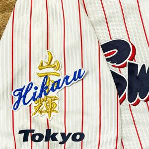 ☆送料無料☆東京 ヤクルト スワローズ つば九郎 シルエット 2