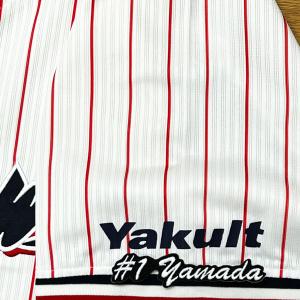 ☆送料無料☆東京 ヤクルト スワローズ 原樹理 シルエット 2＆サイン