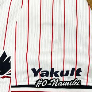 ☆送料無料☆東京 ヤクルト スワローズ 山田哲人 応援歌 白布 刺繍